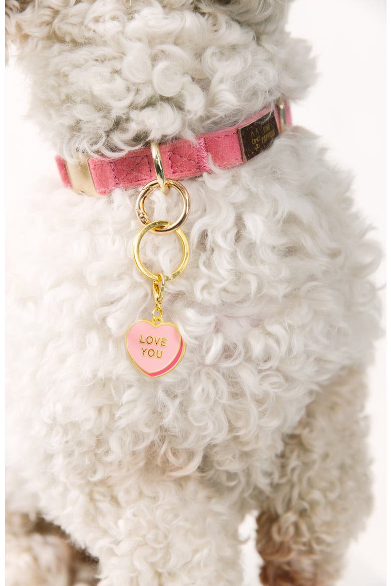 Love You Sweetheart Pet Collar Charm, Alternate, color, Love You Sweetheart