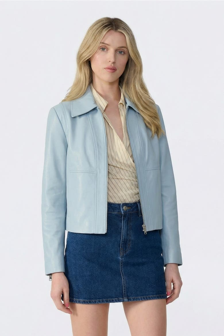 Daisy Leather Jacket, Main, color, Blue