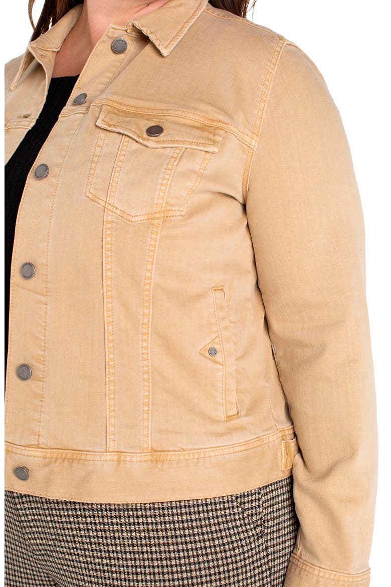 Classic Denim Jacket, Alternate, color, HAYSEED TAN