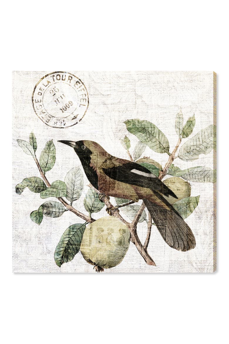 Bird in the Tree Light Canvas Wall Art, Main, color, GREEN
