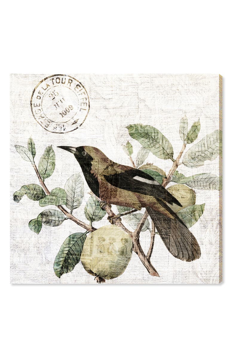 Oliver Gal Bird in the Tree Light Canvas Wall Art, Main, color,