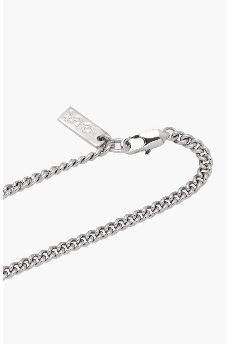 Teddy Silver Necklace, Alternate, color, Silver