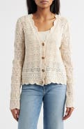 beachlunchlounge Tamia Pointelle Knit Cardigan