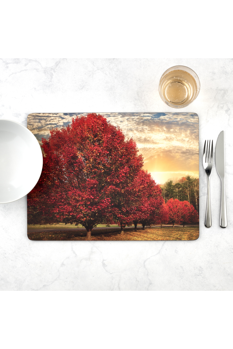 Crimson Trees Set of 4 Cork Back Placemats, Alternate, color, Multi