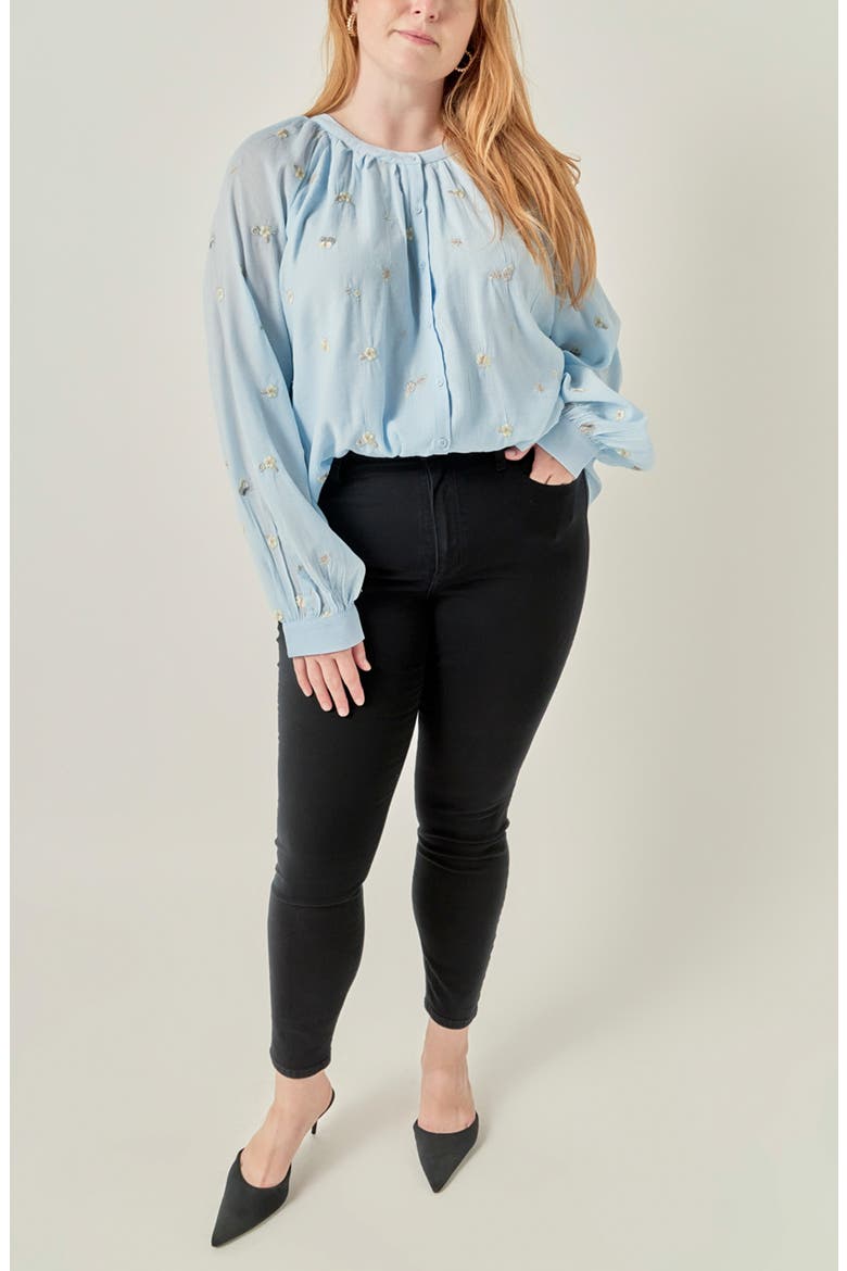 Embroidered Button Front Blouse, Alternate, color, POWDER BLUE