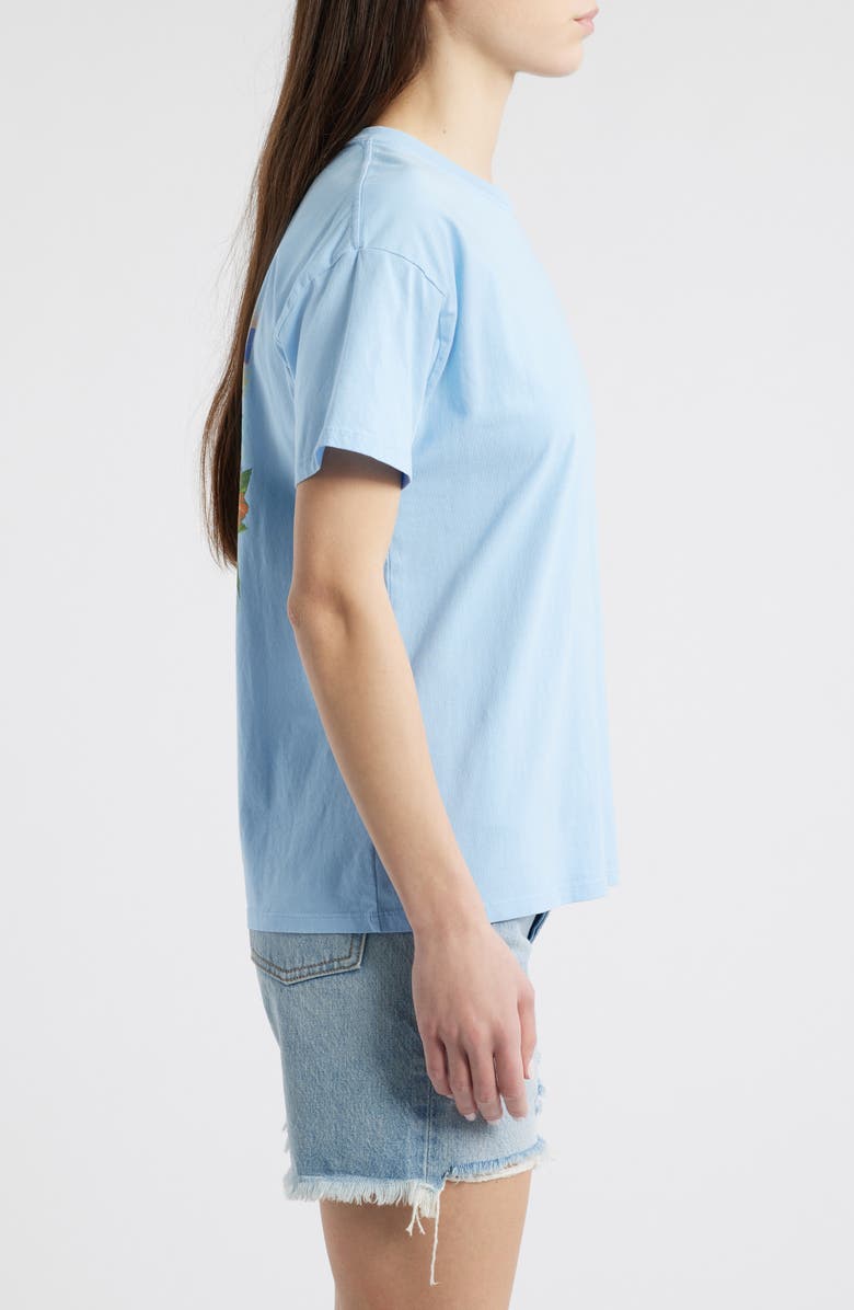 Rip Curl La Joya Relaxed Fit Graphic T-Shirt, Alternate, color, 