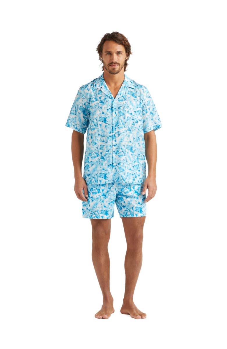 Vilebrequin Men's Iced Turtles Printed Cotton Silk Shirt, Main, color,