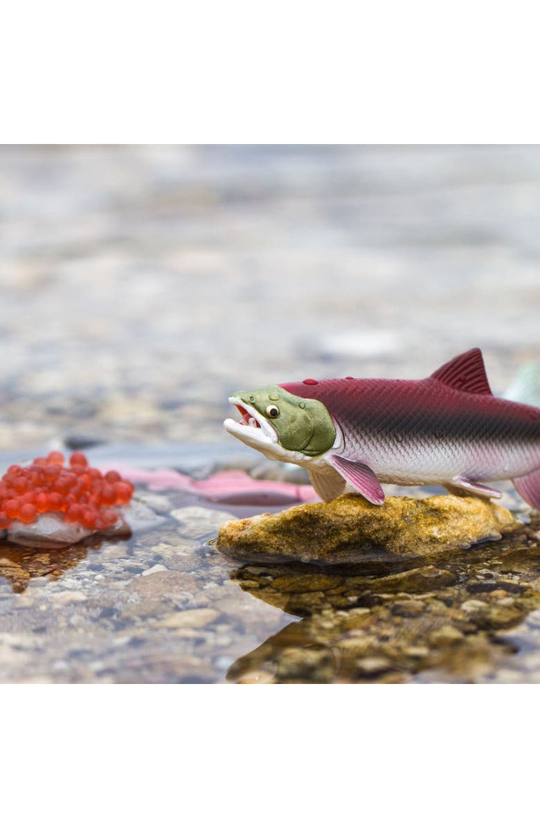 Safari Ltd. Life Cycle Of A Salmon, Alternate, color, 