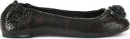 Kurt Geiger London Chelsea Ballerina Flat