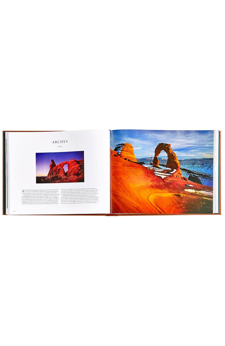 Graphic Image Treasured Lands Leather Edition, Alternate, color, Tan