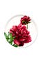 selected Pink Peony Large Round Tray