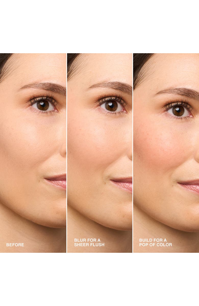 Bobbi Brown Pot Rouge Velvet Matte Cream Blush for Cheeks & Lips, Alternate, color, Soft Plum