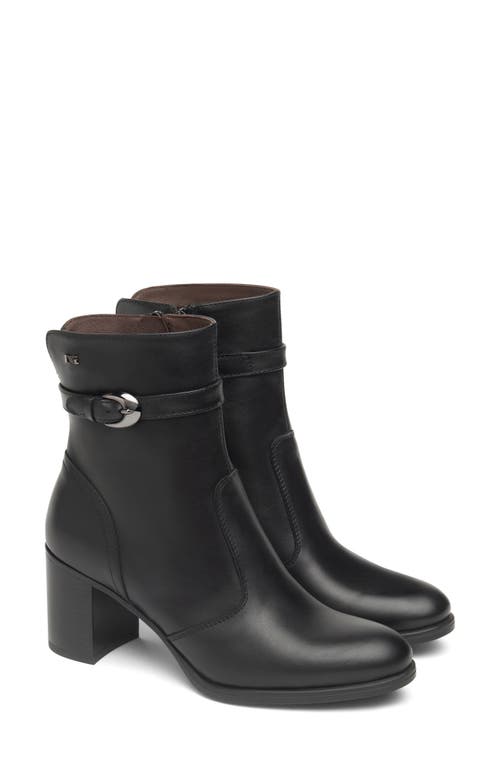 Nerogiardini Buckle Bootie In Black