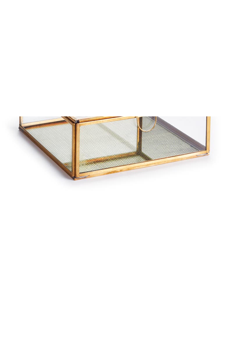 Napa Home & Garden Arwen Large Antique Brass & Glass Decorative Display Box 8" x 8" x 3", Alternate, color, Gold