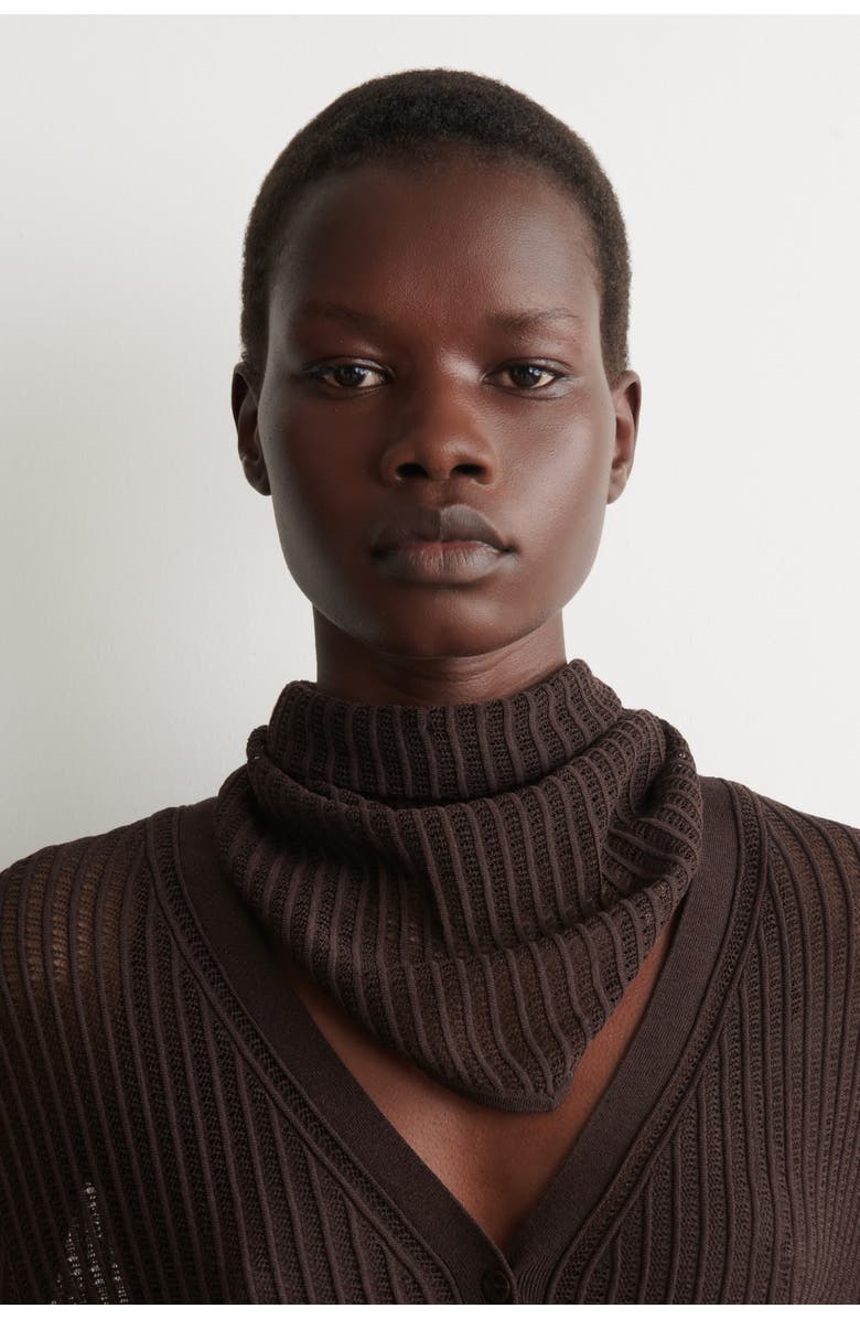 COS Pointelle-knit Triangle Scarf, Alternate, color, Brown