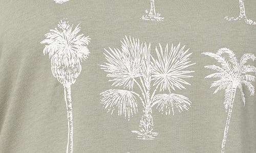 C&c California C & C California Camille Everyday Graphic T-shirt