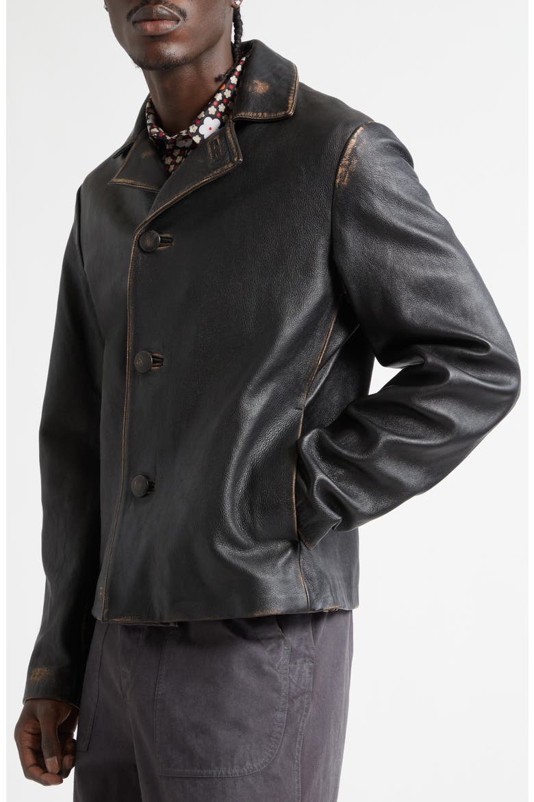Sheepskin Leather Jacket, Alternate, color, BLACK