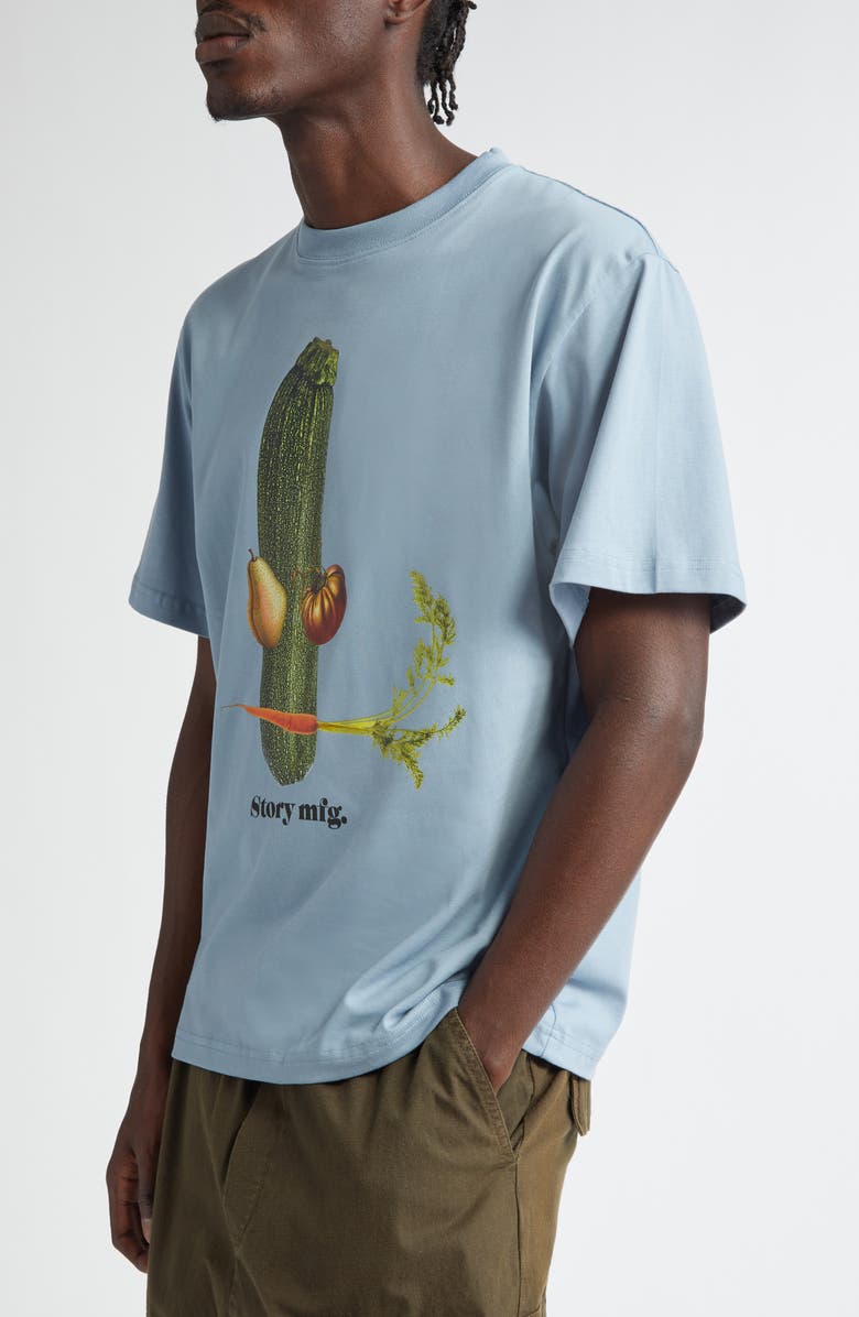 Story mfg. Grateful Cotton Graphic T-Shirt, Alternate, color, 