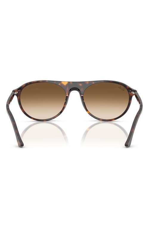 Ray Ban Ray-ban 59mm Gradient Square Sunglasses In Havana