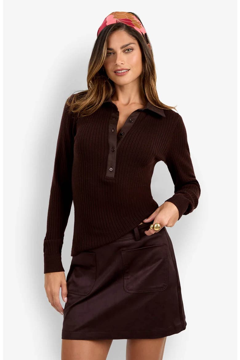 Rita Long Sleeve Polo, Alternate, color, Cioccolato