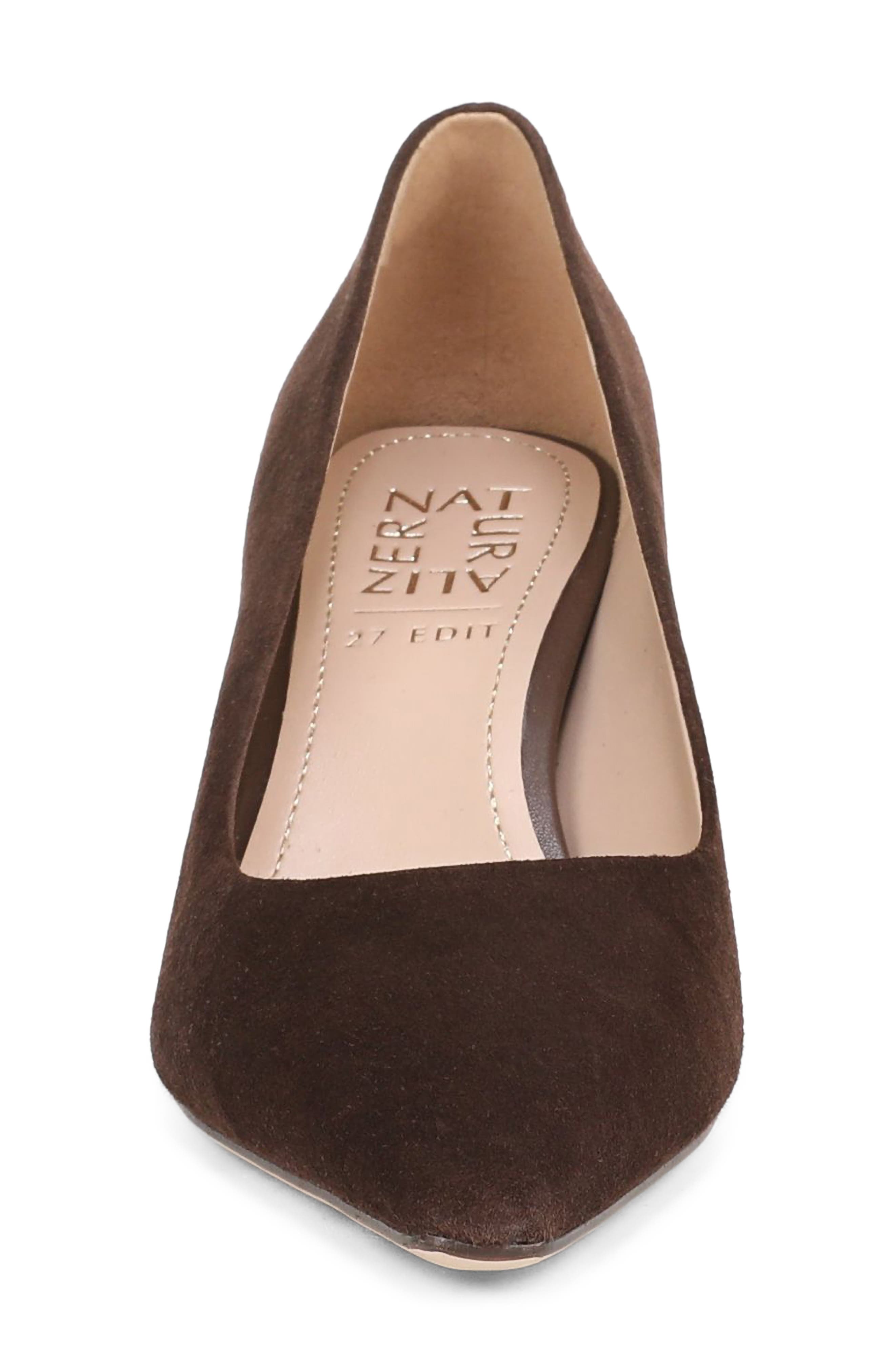 Estee Pointed Toe Pump, Alternate, color, CHOCOLATE SUEDE