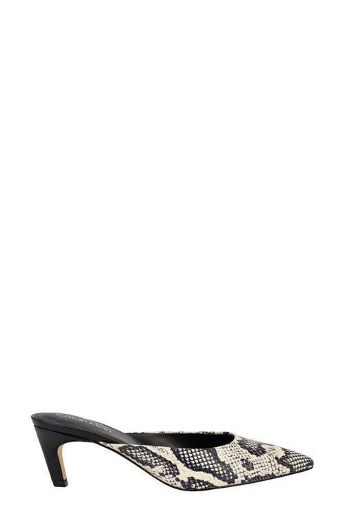 Calvin Klein Kalyn Pointed Toe Kitten Heel Mule In Black/ivory