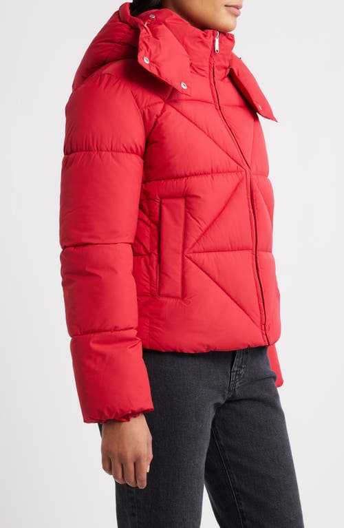 Sam Edelman Cropped Puffer Jacket In Red