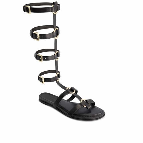 Shop Bernardo Footwear Hero Gladiator Sandal In Black