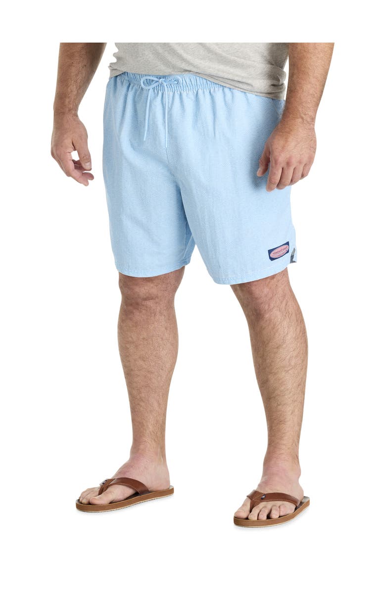 vineyard vines Big & Tall Island Swim Trunks, Main, color, Sea Lines Jake Blue