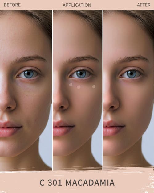 Siia Cosmetics 2-pc. Ultimate Fit Concealer Duo In Brown