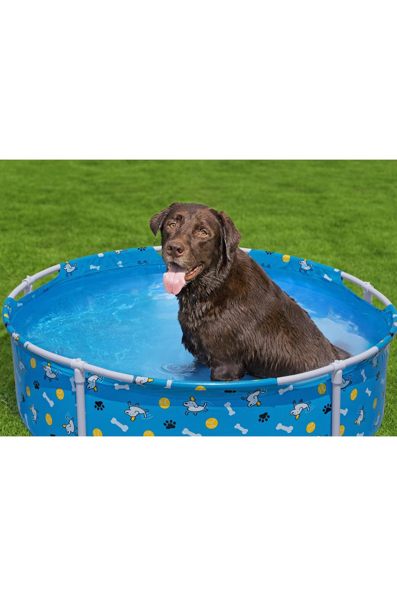 Fetchin' Fun Pet Play Pool, Alternate, color, Multicolored