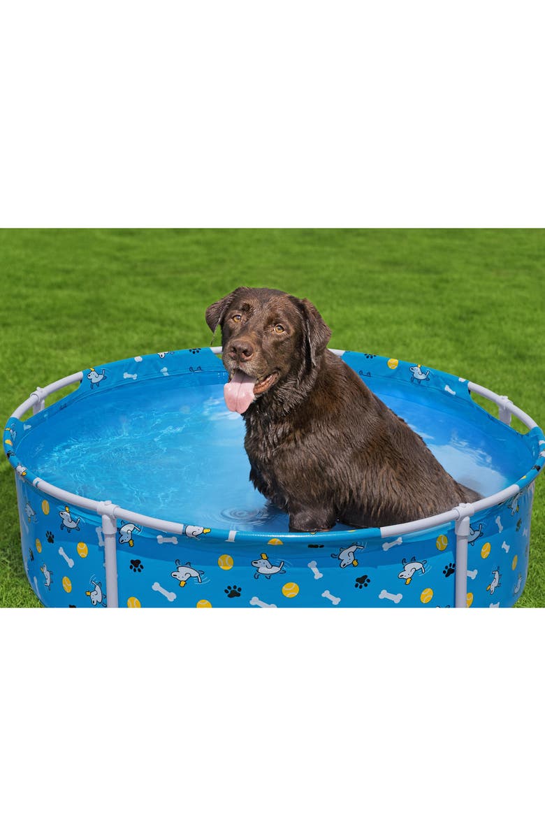 H2OGO! Fetchin' Fun Pet Play Pool, Alternate, color, Multicolored