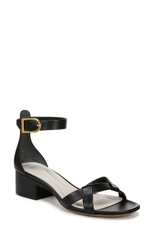 Shop Sarto By Franco Sarto Nerissa Ankle Strap Sandal In Black