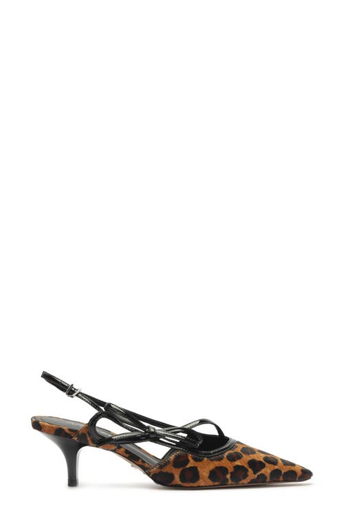 Arezzo Tessa Pointed Toe Slingback Pump In Animal Print
