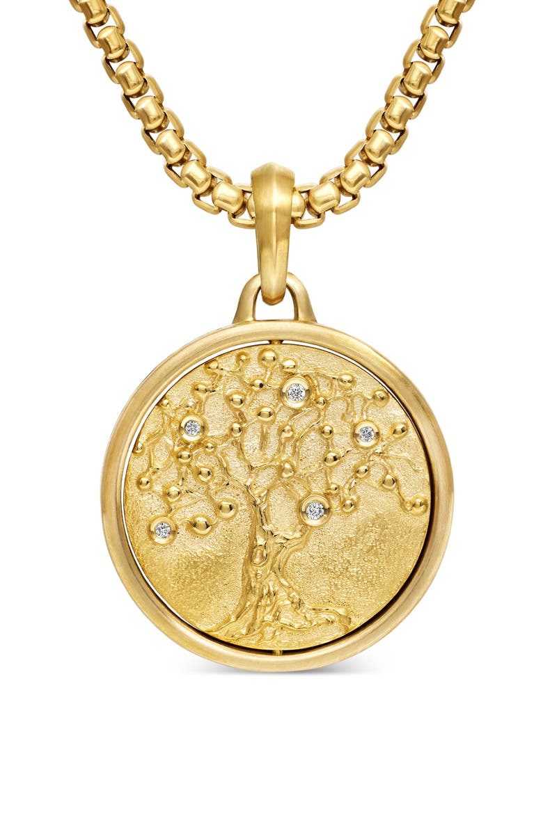 David Yurman Life & Death Amulet in 18K Yellow Gold, Main, color, 18K Yellow Gold