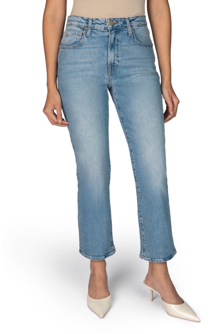 The Gabi Petite Ankle Straight Leg Jean, Main, color, Sky