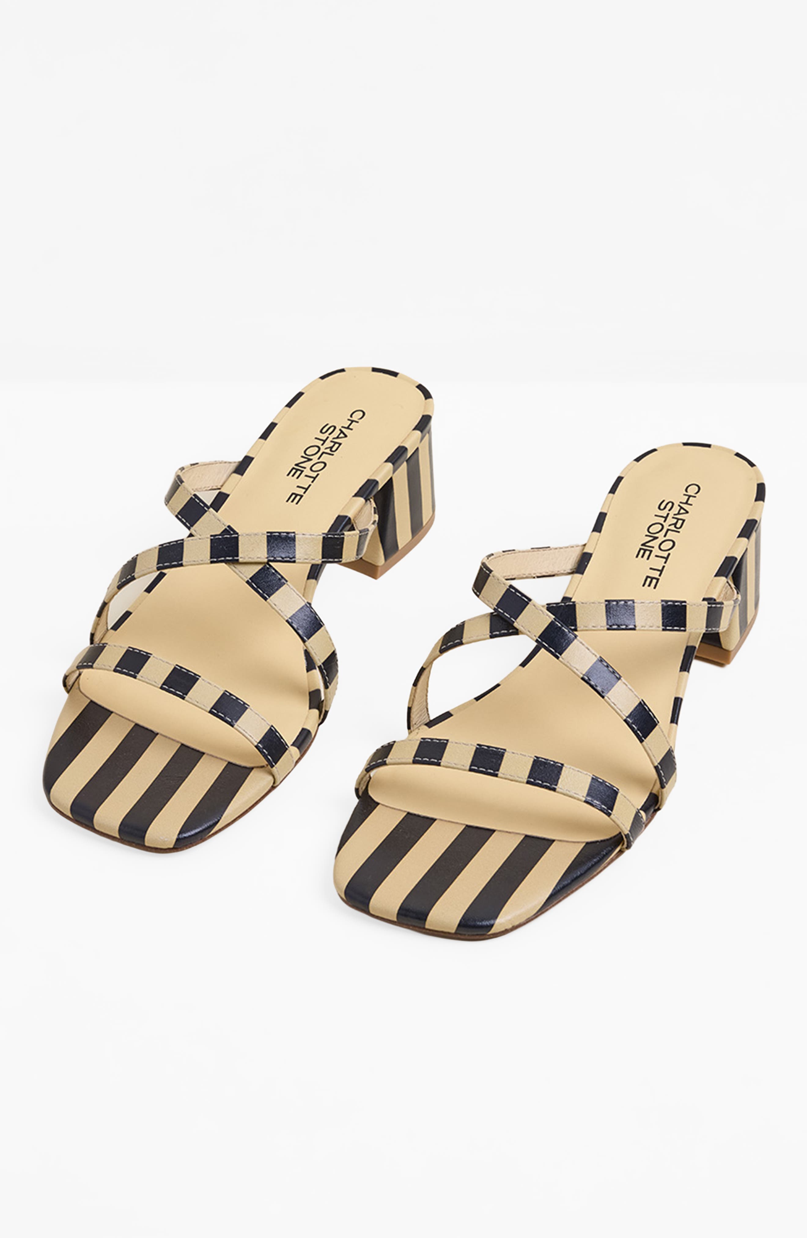 Charlotte Stone Levi Strappy Block Heel Sandal, Main, color, Black Stripe