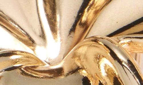 Tasha Assorted 2-pack Flower Hair Clips In Gold