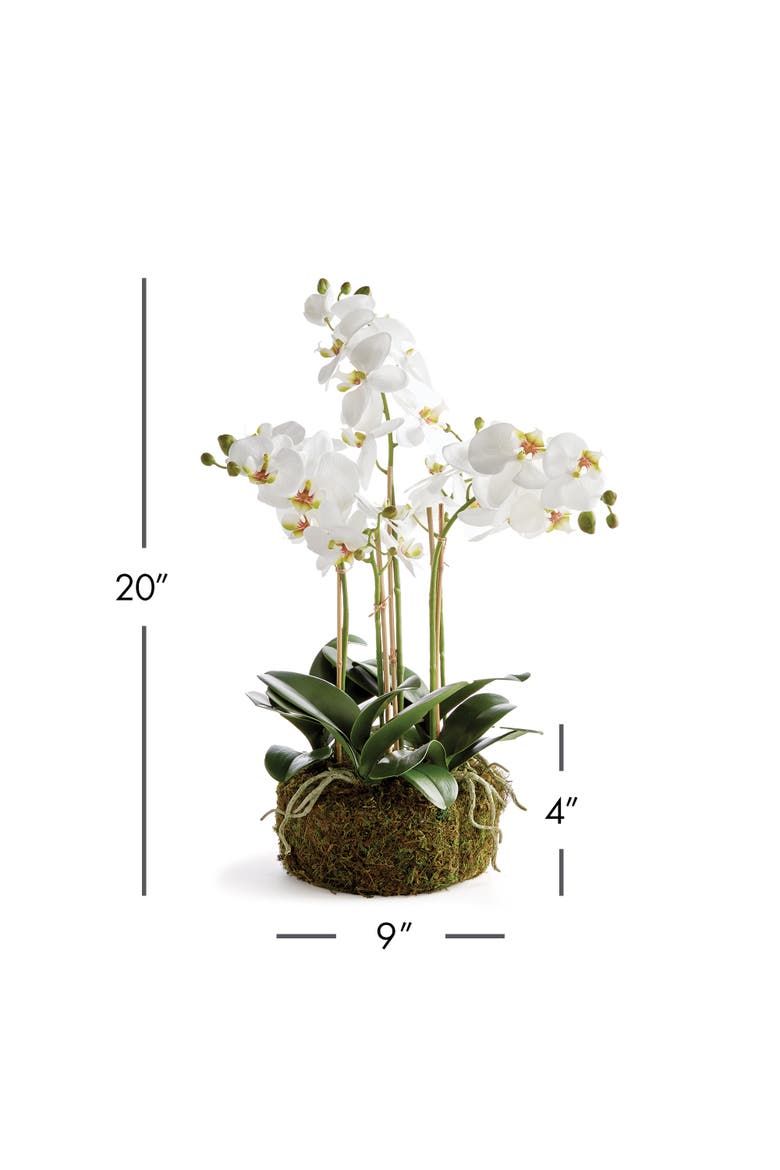 Phalaenopsis Orchid Bowl Artificial Plant Drop-In, Alternate, color, White