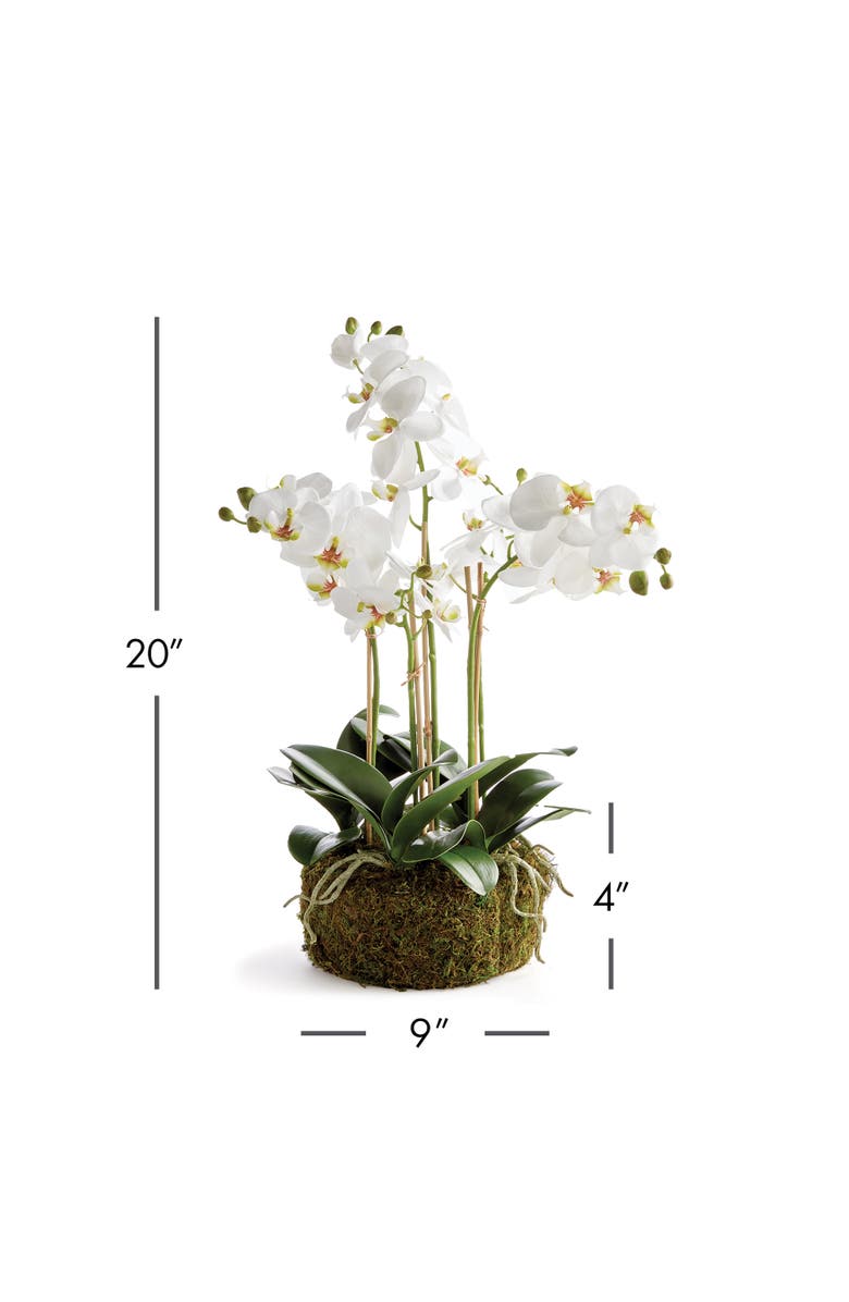 Napa Home & Garden Phalaenopsis Orchid Bowl Artificial Plant Drop-In, Alternate, color, White