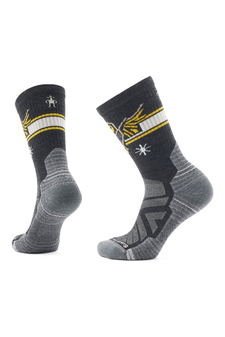 Hike Light Cushion Crew Socks, Main, color, CHARCOAL