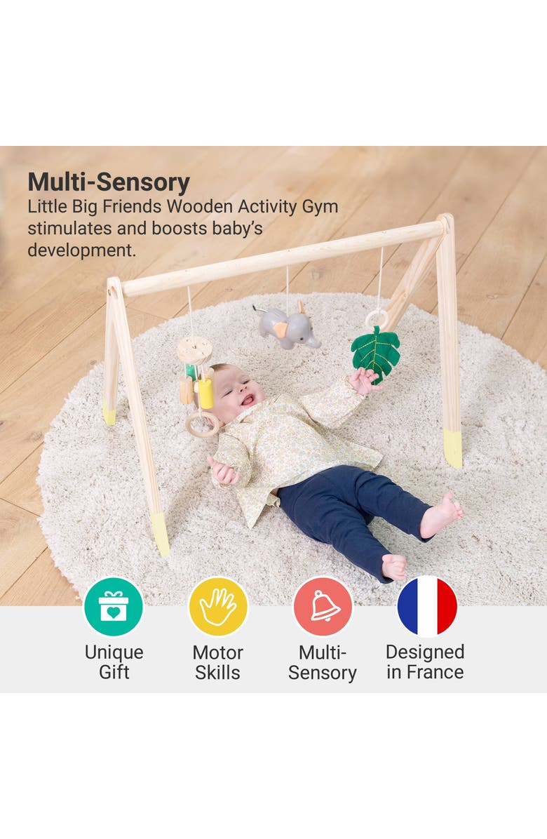 Little Big Friends Wooden Activity Arch - Jungle, Baby Gym & Sensory Toys, Alternate, color, Multicolor