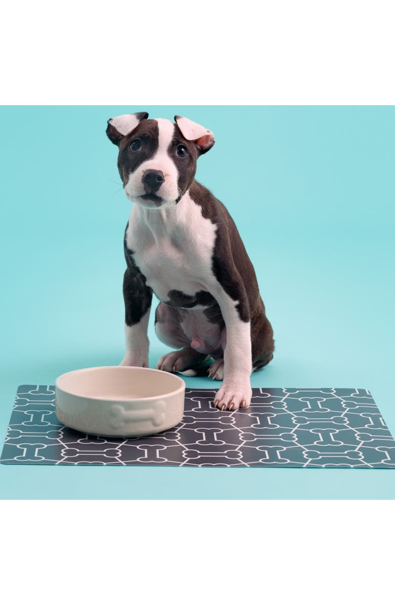 MASON CASH Embossed Bone 17oz Dog Food and Water Bowl, Alternate, color, Beige