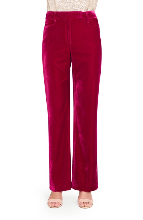 Tahari Asl Bird Eye Velvet Pants In Red