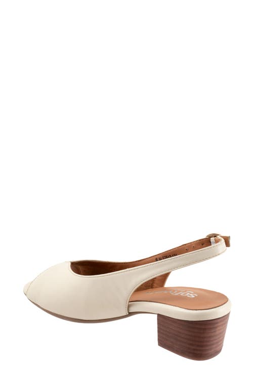 Softwalk ® Lakewood Slingback Sandal In Ivory