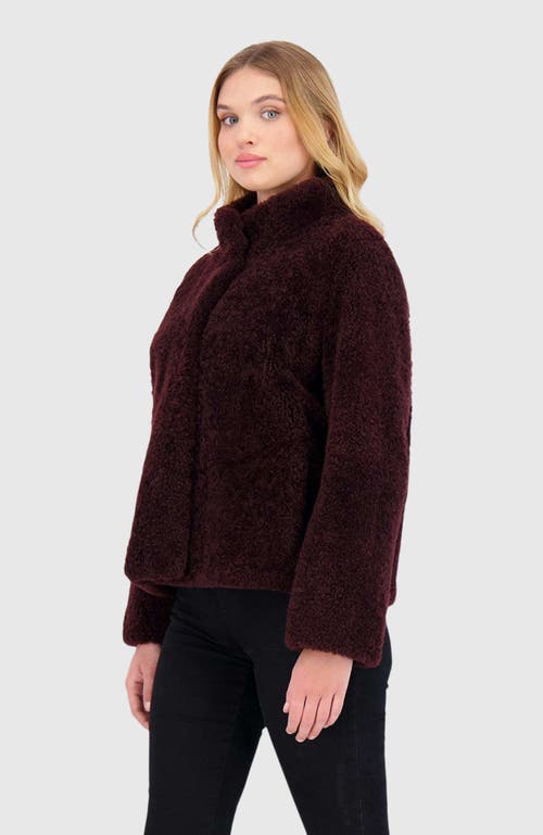 Gorski Cashmere Goat Shearling Jacket In Burgundy