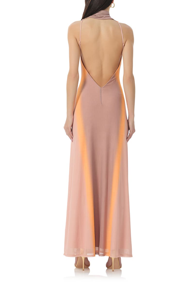 Titus Turtleneck Open Back Mesh Maxi Dress, Alternate, color, ORANGE LINEAR
