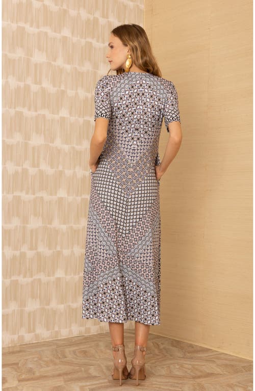 Hale Bob Rayne Jersey Maxi Dress In Multi