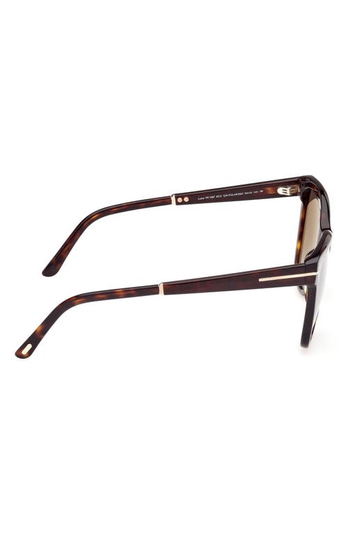 Tom Ford Lucia 54mm Polarized Square Sunglasses In Classic Dark Havana/t Logo