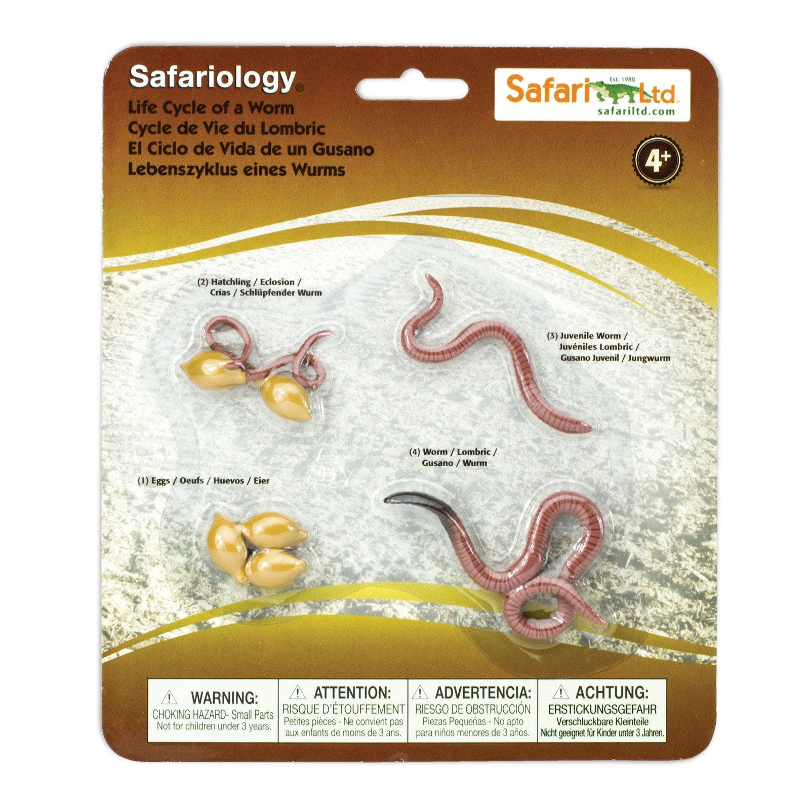 Safari Ltd. Life Cycle Of A Worm 